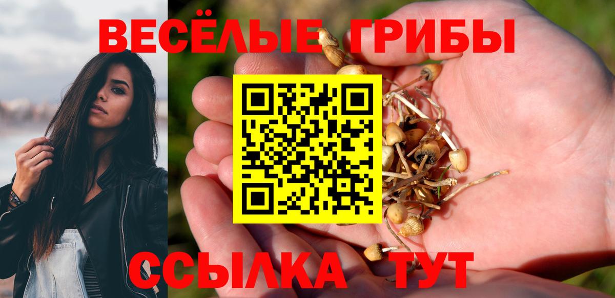 купить   Псилоцибиновые грибы мицелий  Вход с VPN  Первоуральск 